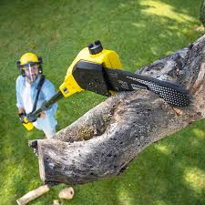 Best Lawn Pest Prevention  in College Park, MD
